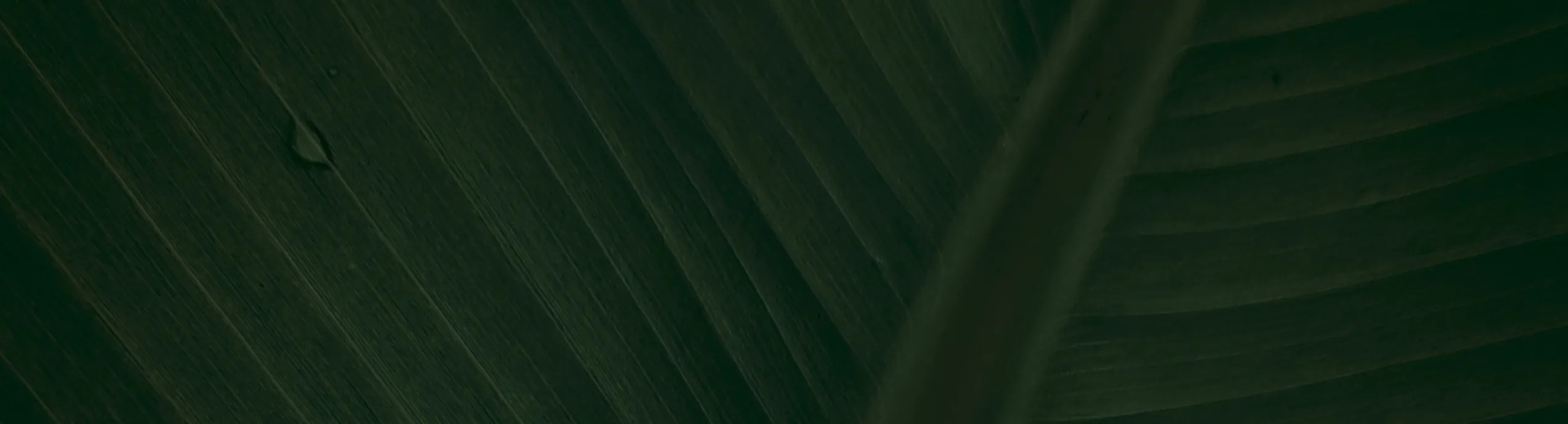 Cihampelas Vibes – Bandung